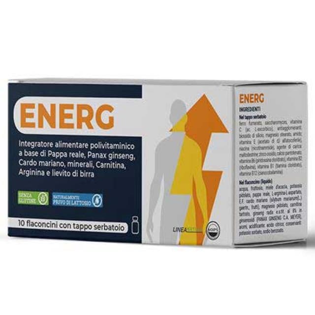 Fer + Multivitamines – 10 ampoules de 10 ml | Energ-Integ 10