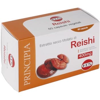 Reishi Extrakt Trocken KOS – 60 gélules
