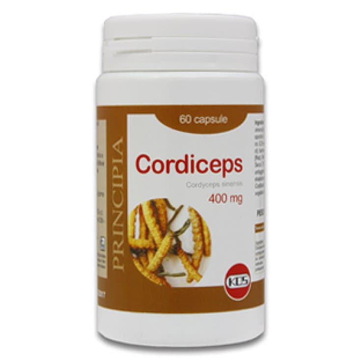KOS Cordyceps Extrait Sec – 60 gélules