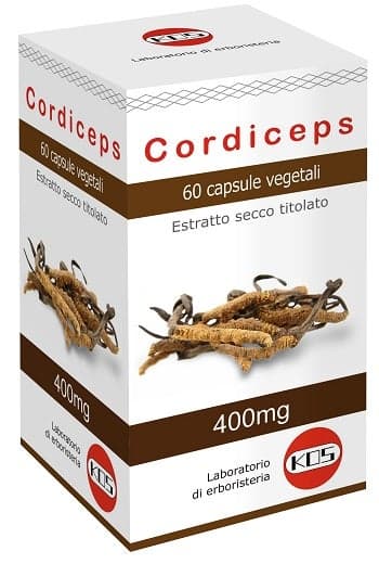 KOS Cordyceps Extrakt Trocken – 60 Kapseln