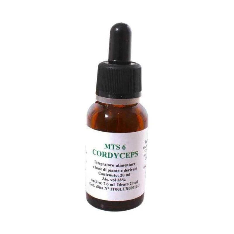 MTS06 Cordyceps – Gouttes 20 ml