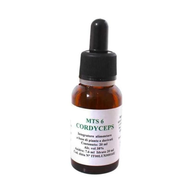 MTS06 Cordyceps – Gouttes 20 ml