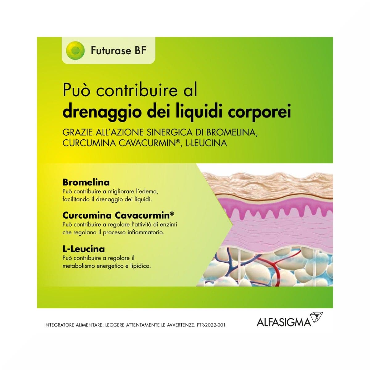 L-leucine + Curcuma – 10 sachets de 5 g | Futurase BF
