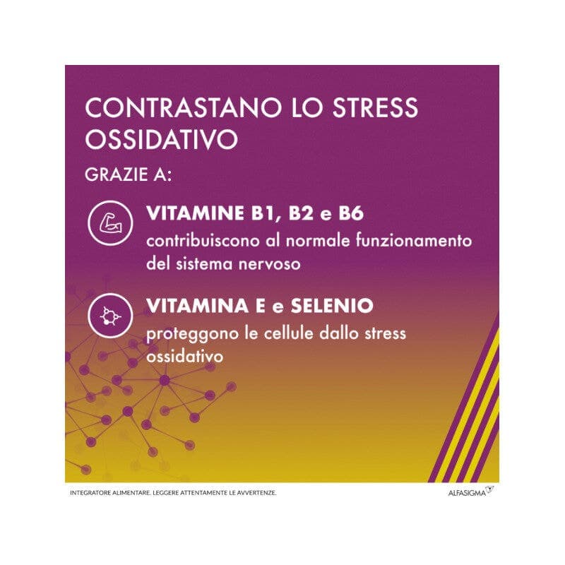 Acide alpha-lipoïque + Complexe vitamines B – 20 gélules | Alanerv ON Int 985 mg