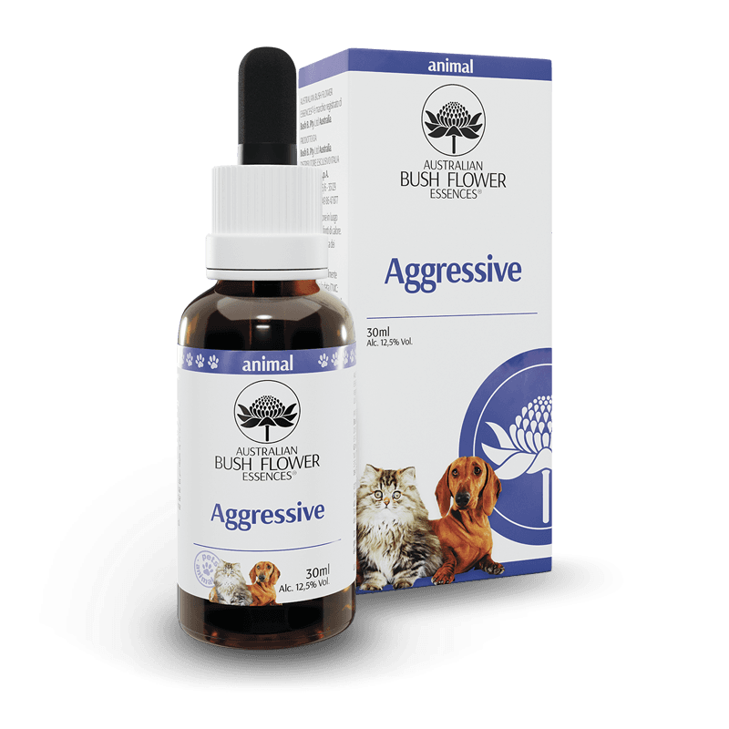 Aggressive 30 ml – Concentré pour usage externe