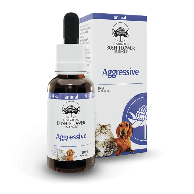 Aggressive 30 ml – Concentré pour usage externe