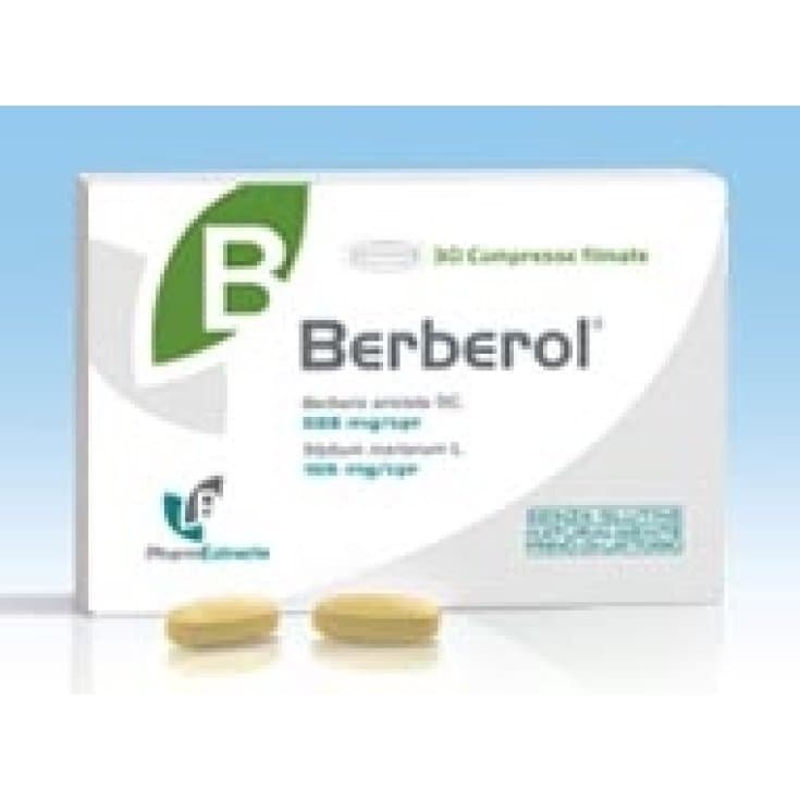 Berberol – 30 comprimés, 28,9 g