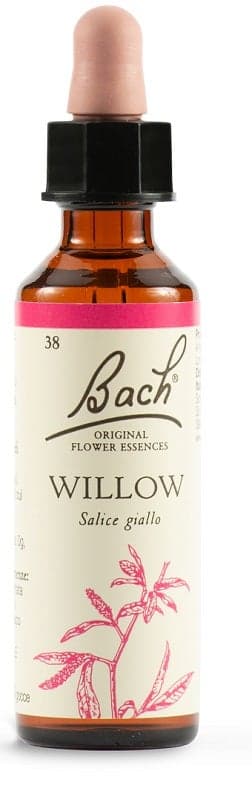Willow Nr. 38 Fleurs de Bach Originales – 20 ml Gouttes