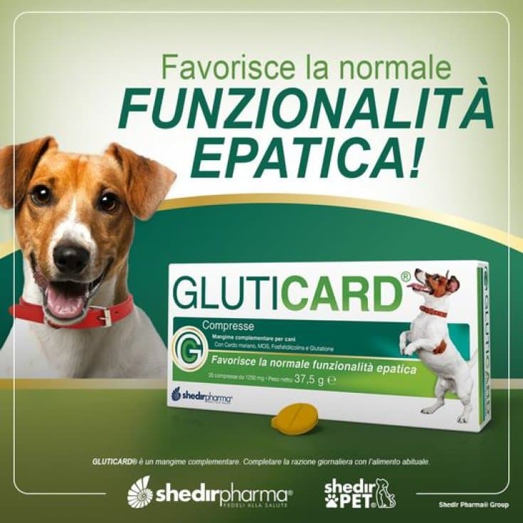 GLUTICARD 30CPR DIVIS VET