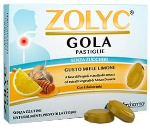 Zolyc Gola Miel/Citron – 36 pastilles
