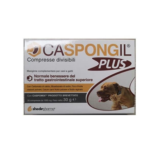 Caspongil Plus – 30 comprimés