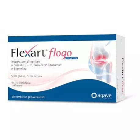 Flexart Flogo – 20 comprimés