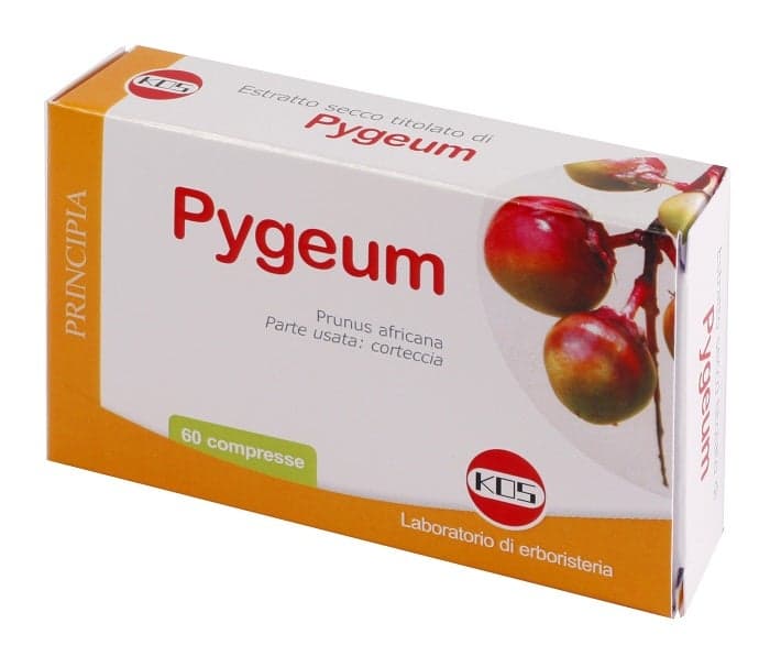 Pygeum Extrait Sec – 60 comprimés