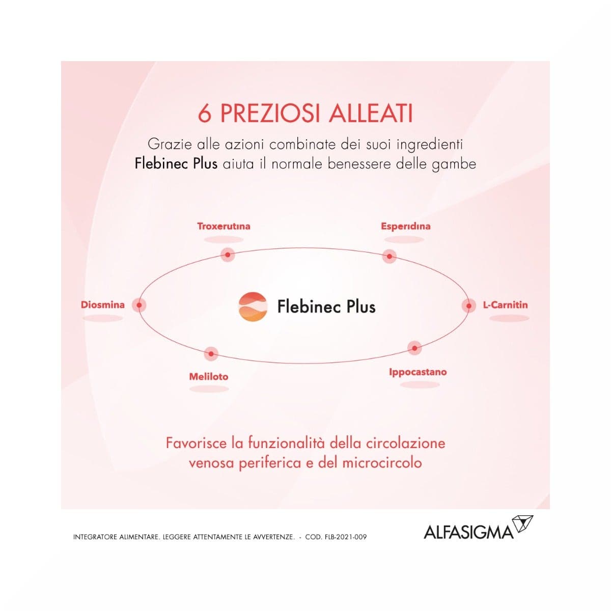 Rutine + Diosmine – 14 sachets | Flebinec Plus