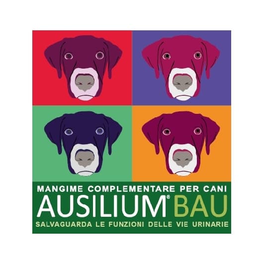 AUSILIUM BAU 300GR C/MISURINO DE