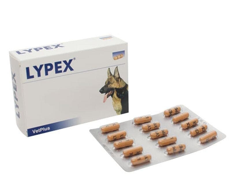 Lypex – 60 Kapseln