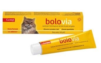 BOLO VIA PASTA GATTI – 100 g