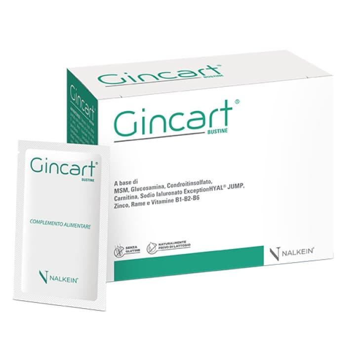 Gincart – 18 sachets de 7 g