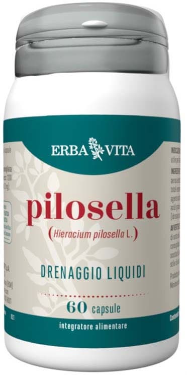Pilosella EBV – 60 gélules