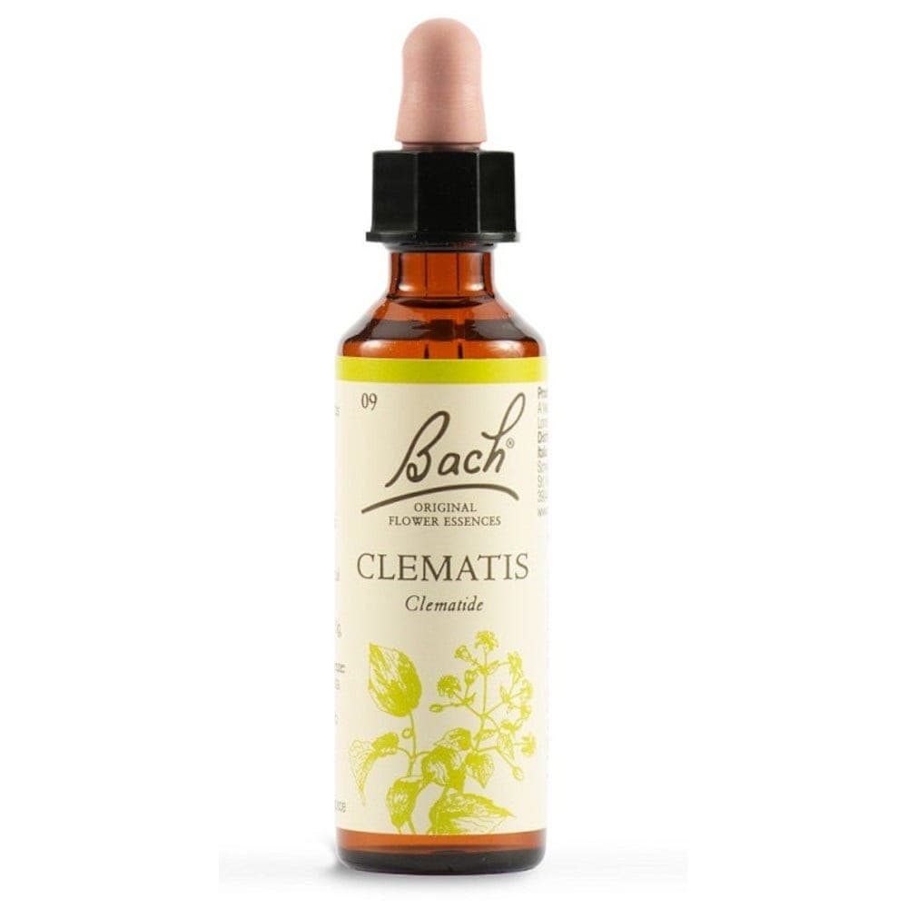 Clematis Bach Original – 20 ml Gouttes