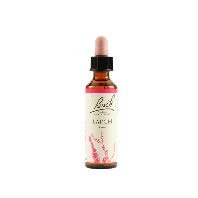 Bach Original Larch (Mélèze) Nr. 19 – Gouttes 20 ml