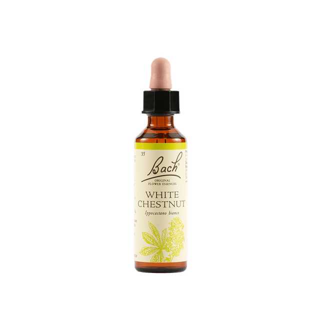 Marron d'Inde – 20 ml | White Chest Bach Original