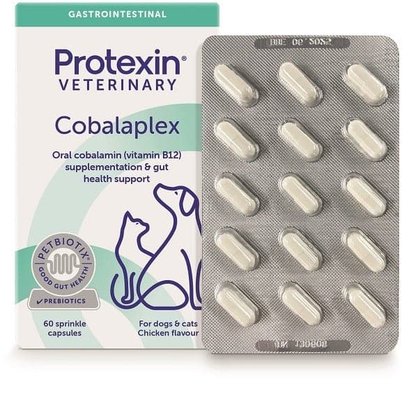 Cobalaplex – 60 gélules