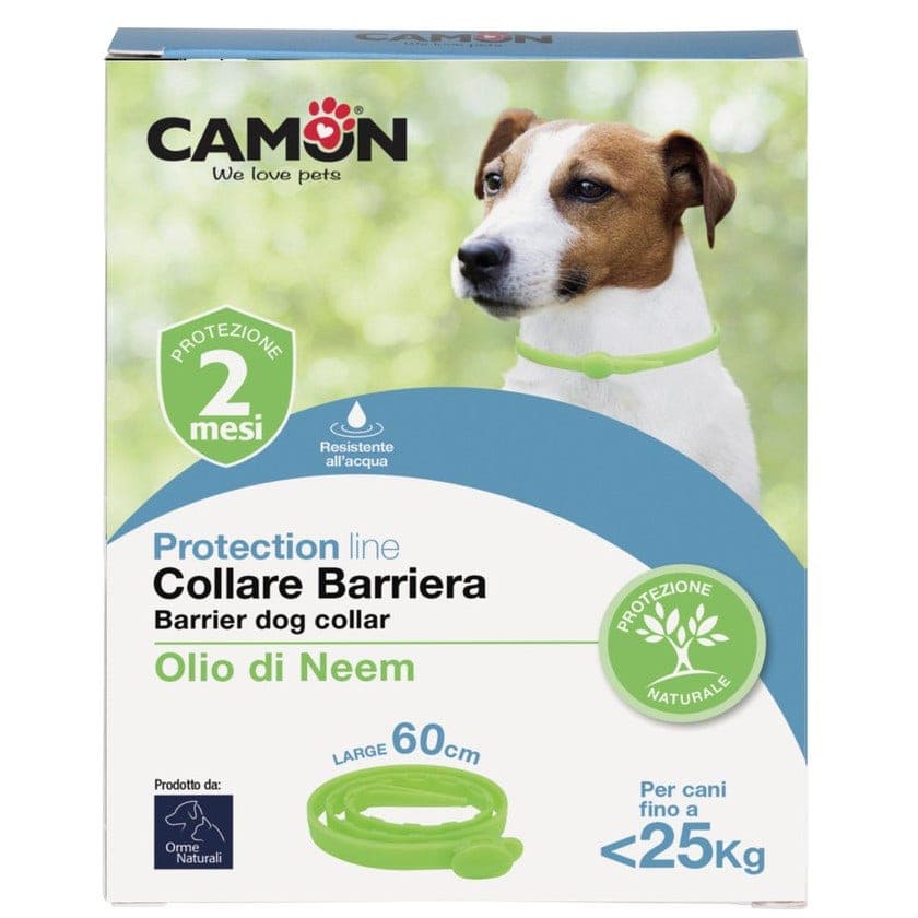 PROTECTION COLLARE BARR CANE