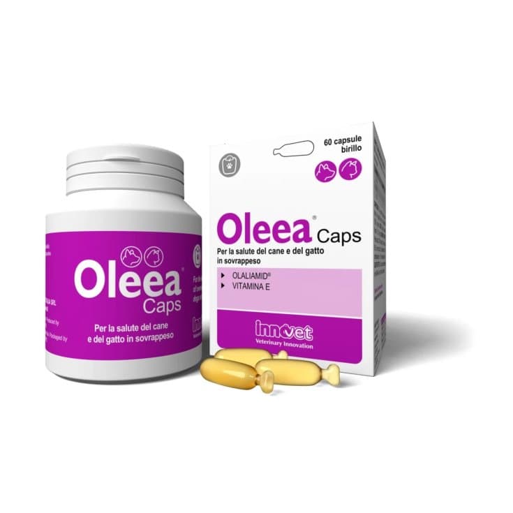 OLEEA – 60 gélules