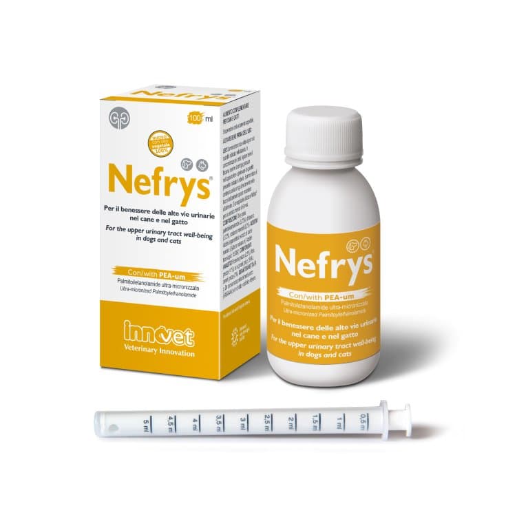 Nefrys New – 100 ml Sirop avec Doseur