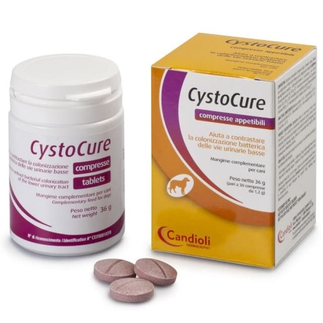 Cystocure Forte – 30 gélules