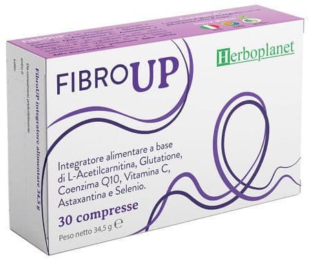 Fibroup – 30 comprimés