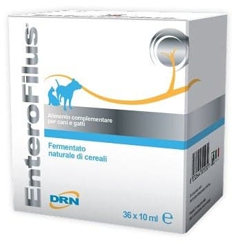 Enterofilus – 36 ampoules de 10 ml
