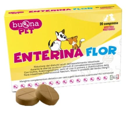 Enterina Flor – 20 comprimés