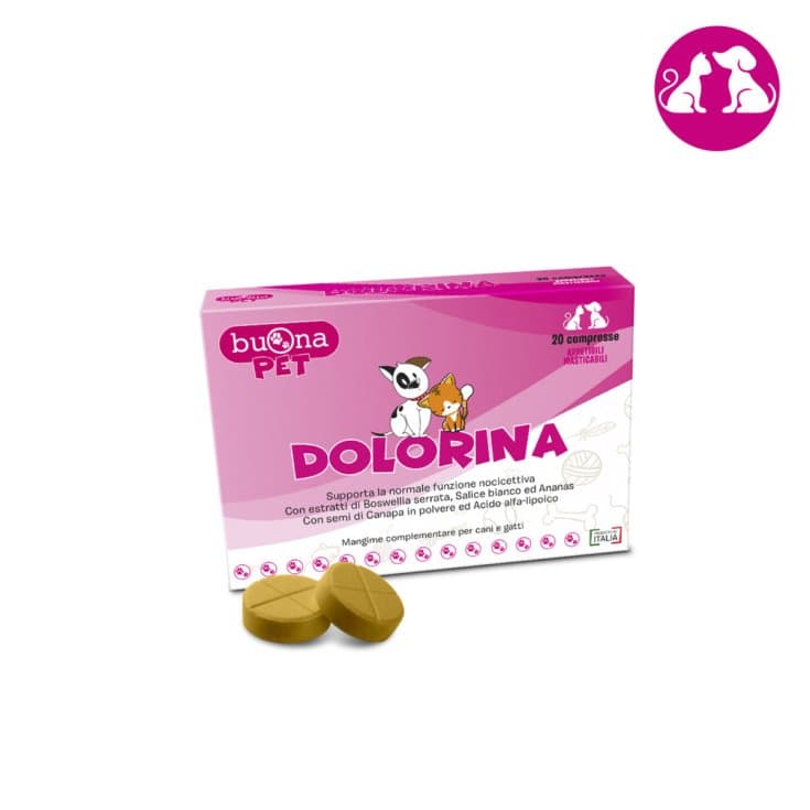 Dolorina – 100 Tabletten