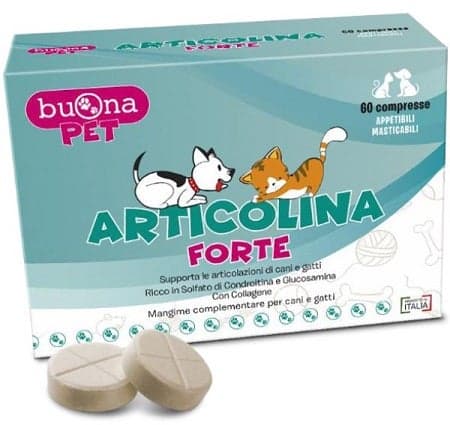 Articolina Forte – 60 comprimés
