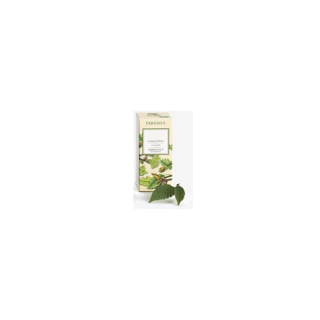 Ficus Carica Bourgeons – Gemmothérapie | Erbamea