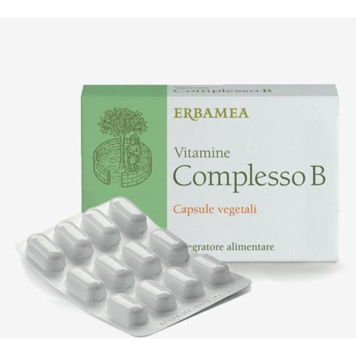 Complément Vitamine B Vegan – 24 gélules