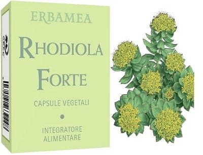 Rhodiola Forte Gélules – Erbamea