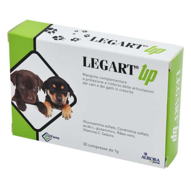 Legart Up – 30 comprimés