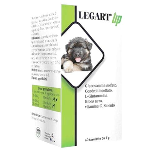 Legart Up – 120 comprimés