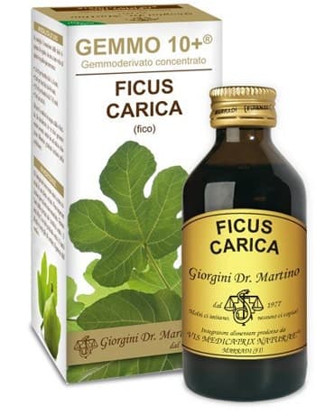 Fico Knospenextrakt – 100 ml alkoholfrei
