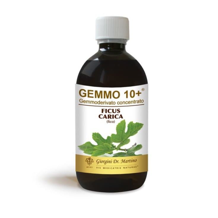 Fico Extrait de Bourgeons – 500 ml sans alcool