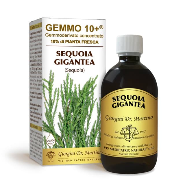 Sequoia Gemmo 10+ Sans Alcool – Extrait de Bourgeons 500 ml