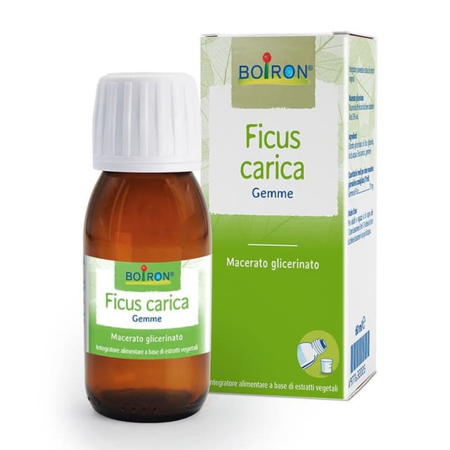 Ficus Carica MG – 60 ml Flacon | Boiron