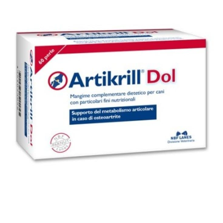Artikrill Dol Chien – 60 Perles