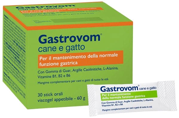 Gastrovom – 30 sachets
