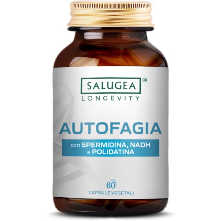 Autofagia Salugea – 60 gélules