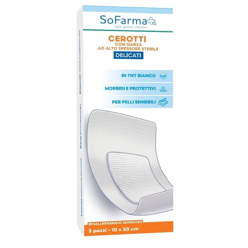 Delicates Pansement 10x20 cm – 3 pièces