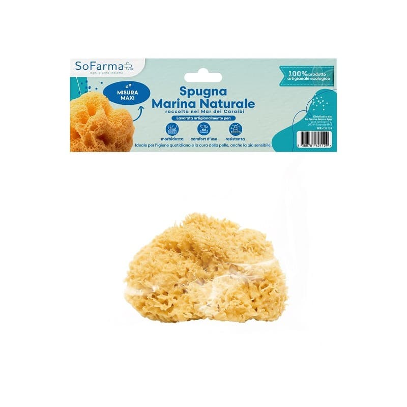 Spugna naturale da acqua marina Maxi – Formato grande